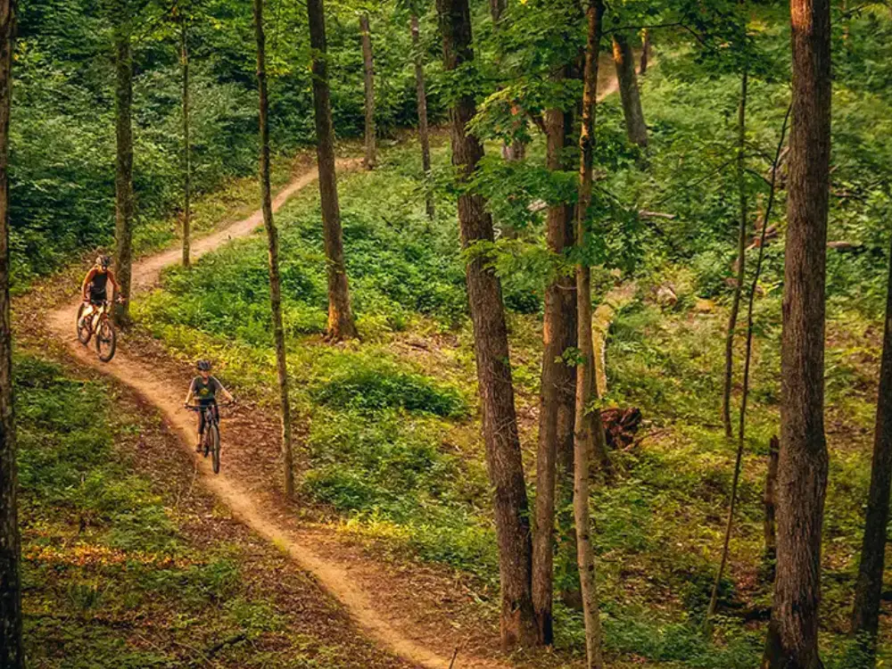 Bailey's Trail Photo