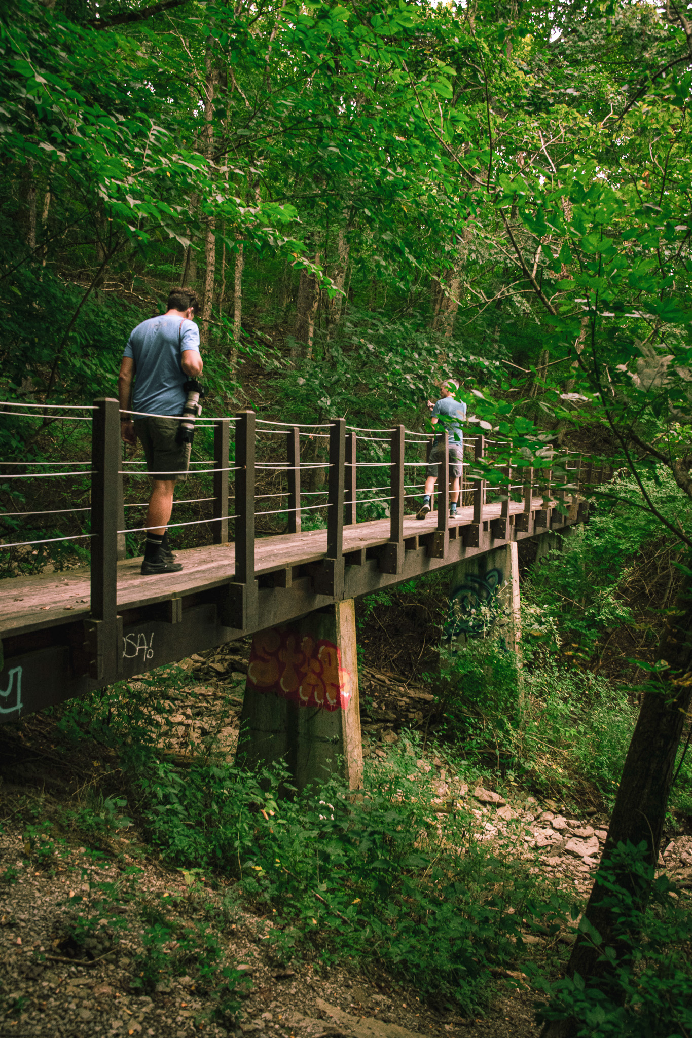 Northern Kentucky Bridge Trails Photo