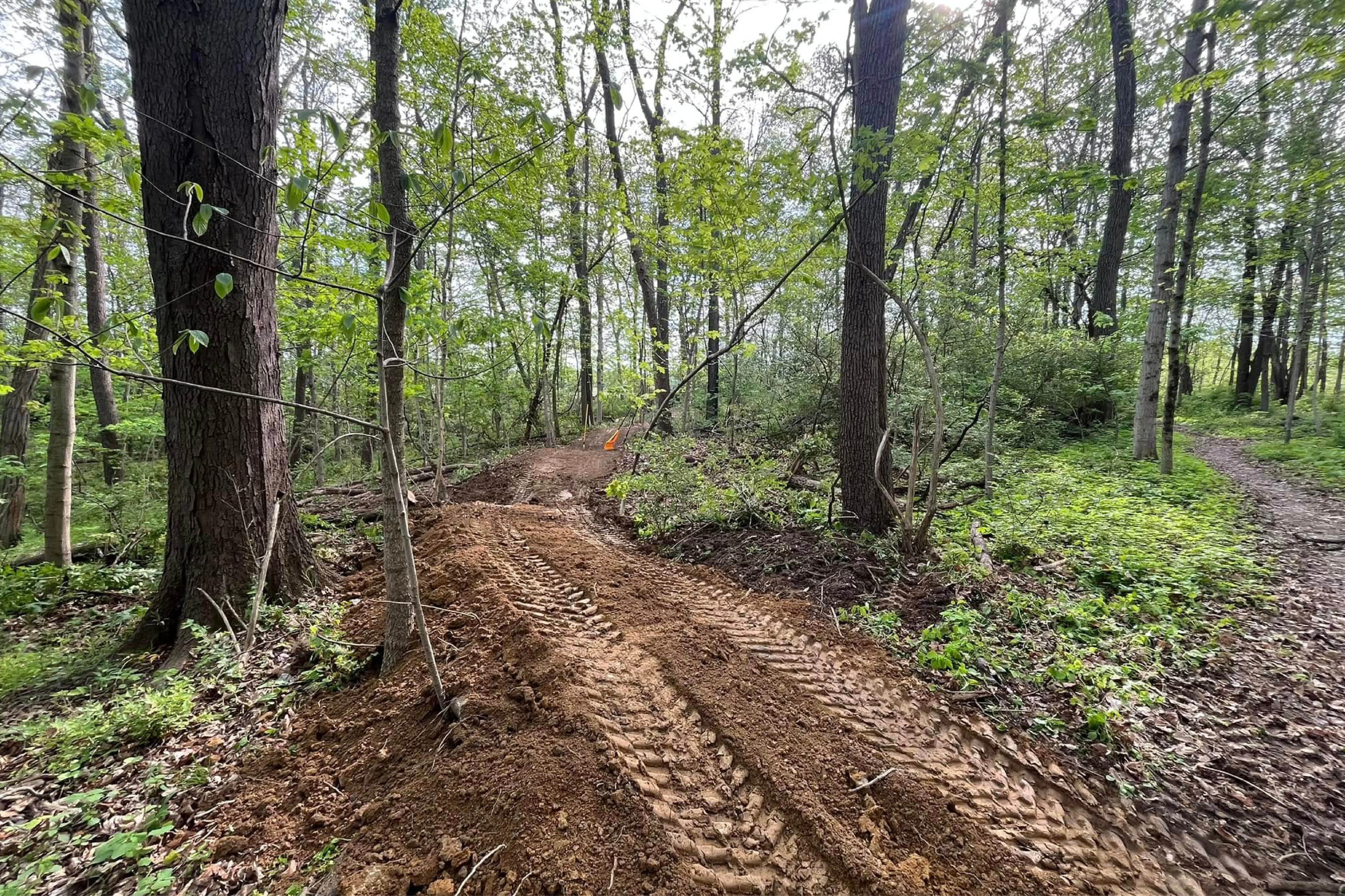 Mitchell Memorial Forest Bike Skills Course