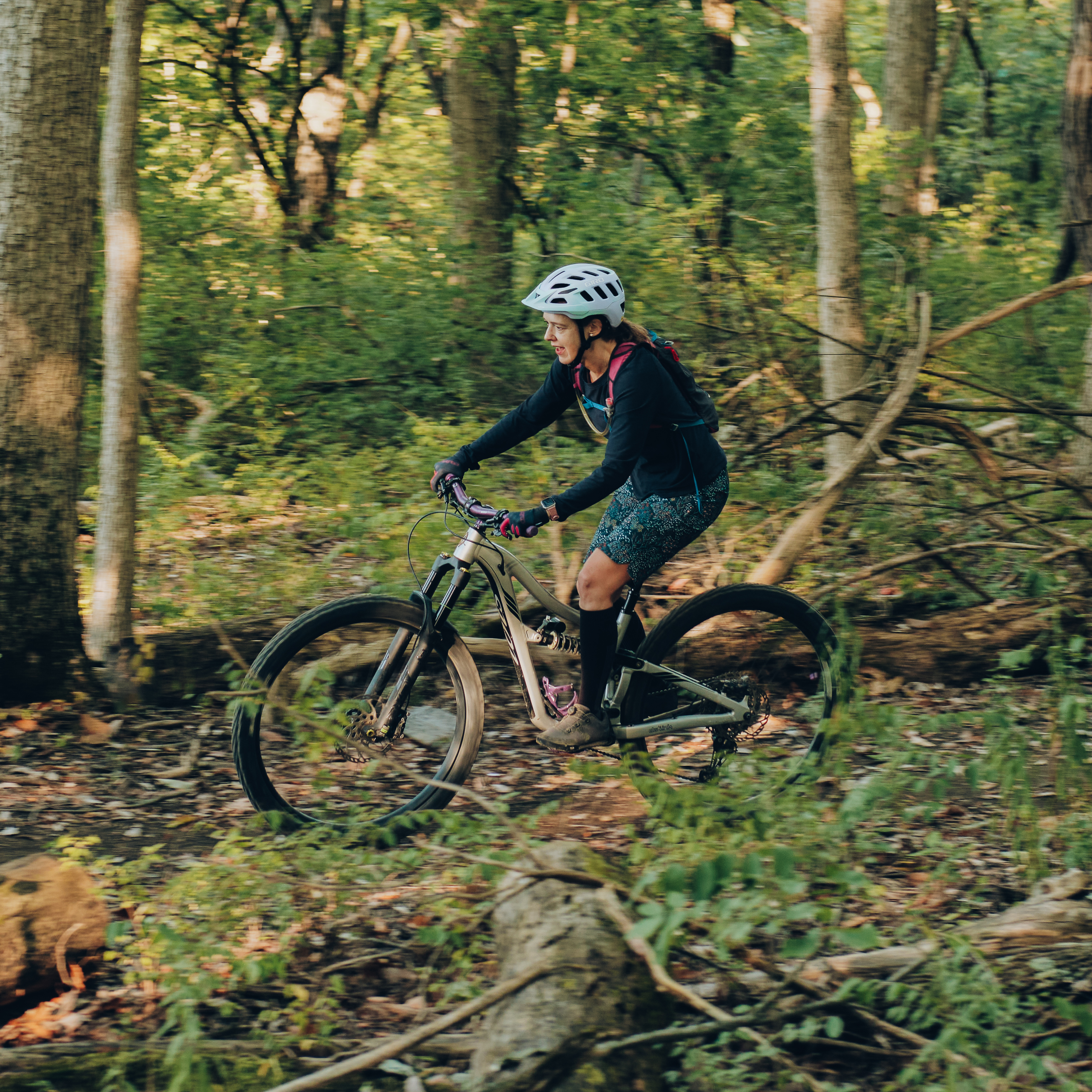 Mt. Airy Summer 2024