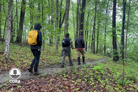 STONELICK STATE PARK